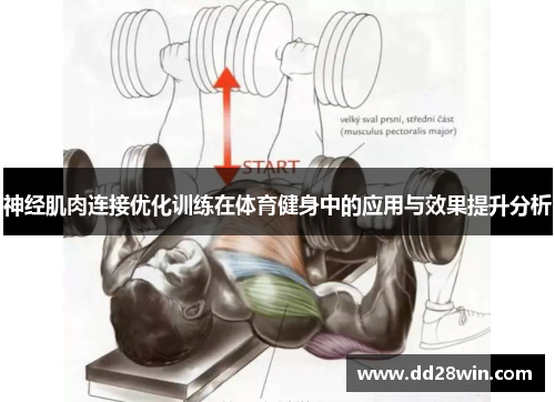 神经肌肉连接优化训练在体育健身中的应用与效果提升分析